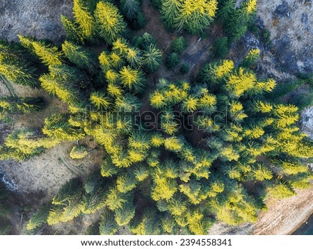 drone image. aerial view of rural area with fields and forest lake. sunny day in Bulgaria,Dospat - vintage retro look - vintage autumn color look