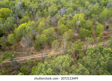 Drone Image Of A Dirt Track Through The Australian Bush