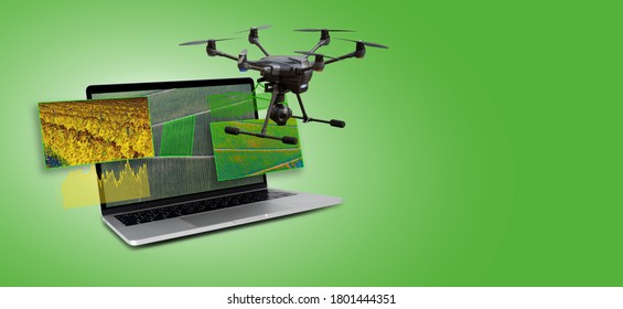 Drone and laptop. Scanning and analysis of agricultural fields. Smart farm and precision agriculture