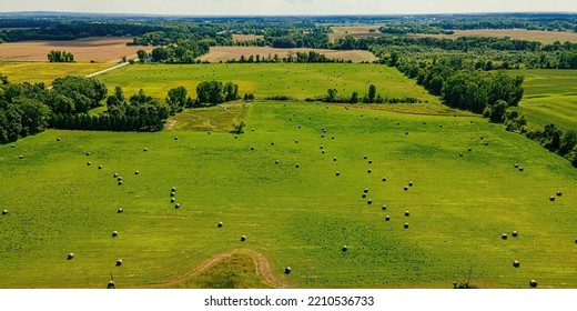 Drone Overlooks A Field Of Freshly Baled Grass To Send To Farms As Hay Later. Wisconsin Summer.