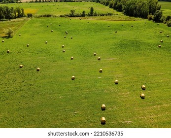 Drone Overlooks A Field Of Freshly Baled Grass To Send To Farms As Hay Later. Wisconsin Summer.