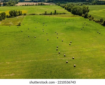 Drone Overlooks A Field Of Freshly Baled Grass To Send To Farms As Hay Later. Wisconsin Summer.