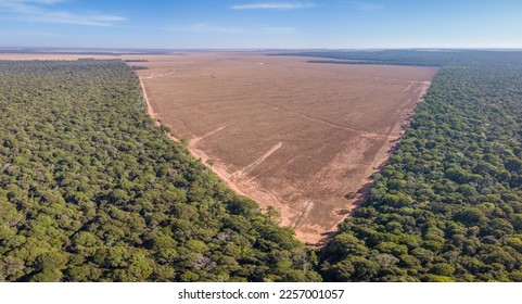 Drone panoramic aerial view of illegal amazon deforestation, Mato Grosso, Brazil. Forest trees and agriculture field land. Concept of climate change, global warming, ecology, environment, nature. - Shutterstock ID 2257001057