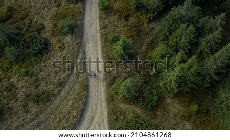 Similar – Image, Stock Photo Sunbeams on the forest path