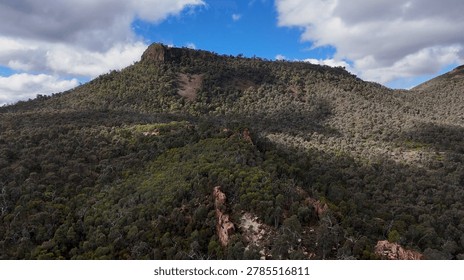 Drone perspective of dense eucalyptus forest covering rocky mountain slopes under a cloudy sky.