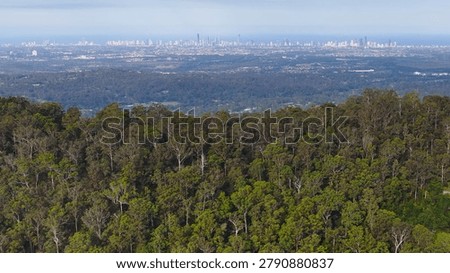 Drone perspective overlooking lush eucalyptus forest toward the distant Gold Coast city skyline and horizon.