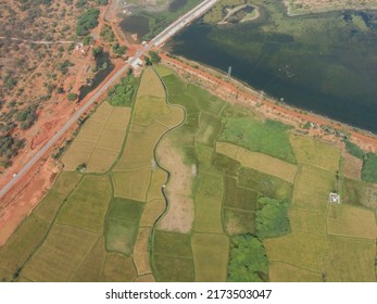 drone photo aerial view top angle dam lake irrigation paddy food rice fields fertile lands cultivation agricultural india tamilnadu natural scenery tropical country ruralscape flood water submerged  - Shutterstock ID 2173503047