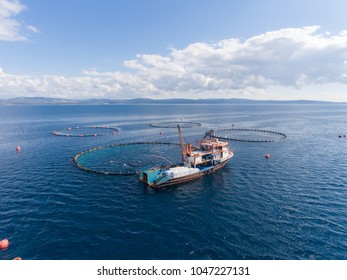 Drone Photo Of A Fishing Boat In An Open Sea Fish Farm