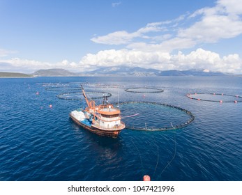 Drone Photo Of A Fishing Boat In An Open Sea Fish Farm In Aegean Turkey