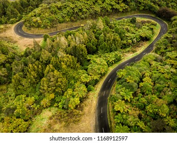 Drone Photo Of Forest - Aerial Photography - New Zealand