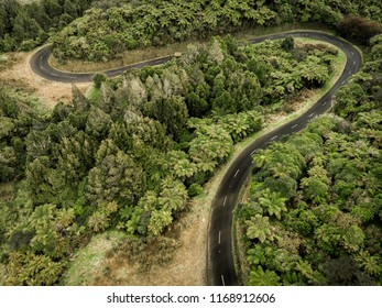 Drone Photo Of Forest - Aerial Photography - New Zealand