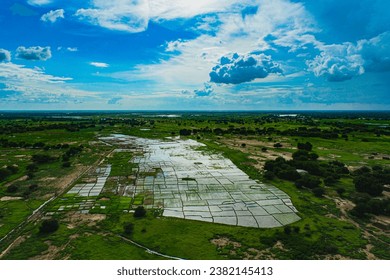 Drone photo of rice fields in the floodplain of the Shari River, the border of Cameroon and Chad during the rainy season, when the Sahel is abundantly watered for a short time