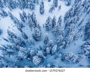 Drone Photo Of Winter In Lapland Finland.