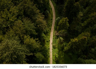 Drone photograph with cyclist riding through a hard wood forest on dirt road. Bird eye perspective. - Powered by Shutterstock