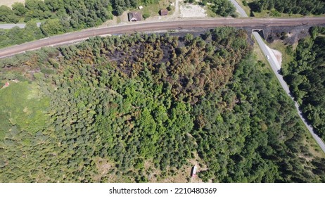 Drone Photography Of Burned Forrest After Fire With Railroad