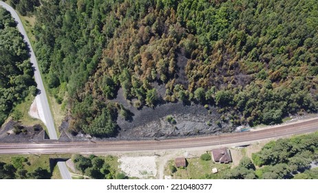 Drone Photography Of Burned Forrest After Fire With Railroad