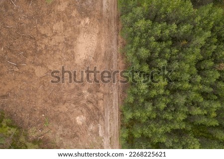 Drone photography of deforested site, maintenance road and new trees growing during summer day