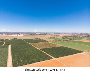 A Drone Picture Of Australian Apple Farm