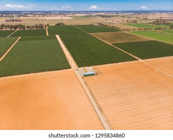 A Drone Picture Of Australian Apple Farm