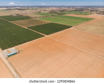 A Drone Picture Of Australian Apple Farm