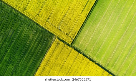 A drone point of view of a Canola and wheat field together - Powered by Shutterstock