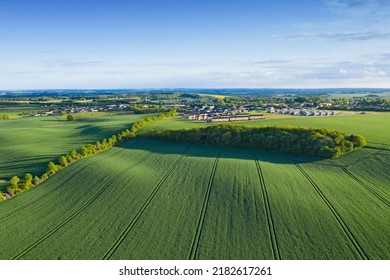 Drone point of view of farm or countryside estate, green pasture fields and blue sky copy space. Scenic aerial landscape of farming agriculture, trees and residential building houses in remote meadow