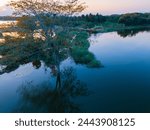 drone shot aerial view low angle twilight hours sunset sky dawn trees forest jungle reflections lakeside pond river bank spring season natural scenery turquoise blue water india tamilnadu wallpaper 