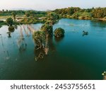 drone shot aerial view top angle beautiful natural scenery india tamilnadu evergreen rain forest greenery meadows sunset dawn mangrove turquoise blue water bird sanctuary wallpaper tropical trees bank