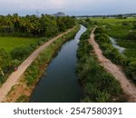 drone shot aerial view top angle forest spring paddy rice agricultural field cultivation fertile tropical india scenery tourism wallpaper mountain river bank village ruralscape tree sky village canal