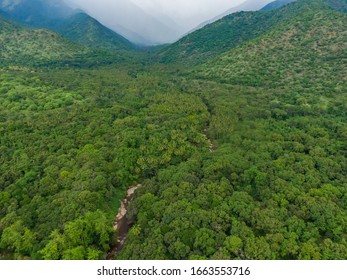 Drone Shot Aerial View Top Angle Rain Forest Kurangini Madurai Tamilnadu India Lush Green Thick Dense Woods River Bridge Mountains Bright Sunny Day Beautiful Weather Valleys Terrain Nature Streams 