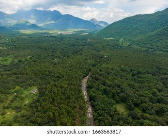 Drone Shot Aerial View Top Angle Rain Forest Kurangini Madurai Tamilnadu India Lush Green Thick Dense Woods River Bridge Mountains Bright Sunny Day Beautiful Weather Valleys Terrain Nature Streams 