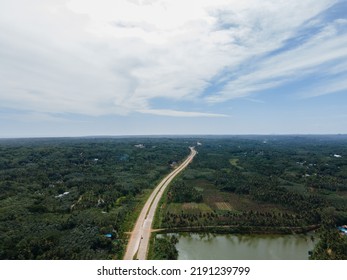 Drone Shot Aerial View Top Angle Mountain Range Hill Valley Forest Natural Scenery Wallpaper Background India Tamilnadu Tourism Highway Ghat Road Coconut Trees Fertile Lands 