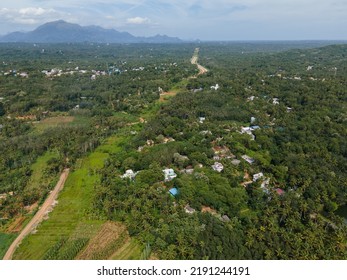 Drone Shot Aerial View Top Angle Mountain Range Hill Valley Forest Natural Scenery Wallpaper Background India Tamilnadu Tourism Coconut Trees Fertile Lands 