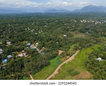 Drone Shot Aerial View Top Angle Mountain Range Hill Valley Forest Natural Scenery Wallpaper Background India Tamilnadu Tourism Coconut Trees Fertile Lands 