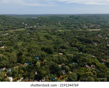 Drone Shot Aerial View Top Angle Mountain Range Hill Valley Forest Natural Scenery Wallpaper Background India Tamilnadu Tourism Coconut Trees Fertile Lands 