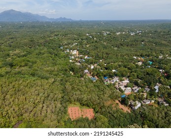 Drone Shot Aerial View Top Angle Mountain Range Hill Valley Forest Natural Scenery Wallpaper Background India Tamilnadu Tourism Coconut Trees Fertile Lands 