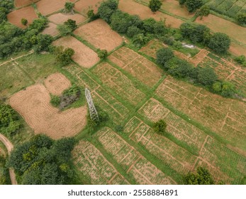 drone shot aerial view top angle panoramic photograph agricultural landscape fields vegetation plantation trees mountain plateau hilly terrain plains slope greenery rainforest india Kerala tamilnadu  - Powered by Shutterstock