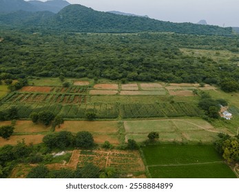 drone shot aerial view top angle panoramic photograph agricultural landscape fields vegetation plantation trees mountain plateau hilly terrain plains slope greenery rainforest india Kerala tamilnadu  - Powered by Shutterstock