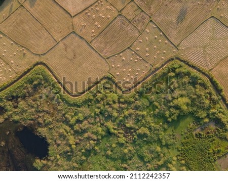 drone shot aerial view top angle agricultural fields ploughed land cultivation fertile soil ruralscape patterns symmetry patterns wallpaper background natural rural scenery india tamilnadu madurai 