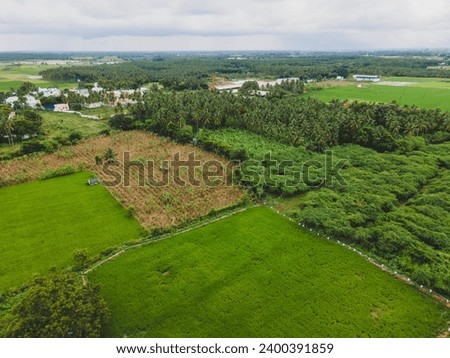 drone shot aerial view top angle greenery natural scenery photograph dense woods lust forest jungle plantations meadows grassland coconut plantain trees india rainforest evergreen wallpaper background