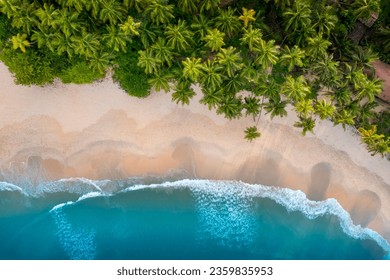 Drone shot of blue sea with sand and coconut trees, Kerala travel and tourism concept aerial photo, relaxing and peaceful beach scene, best beach scenery