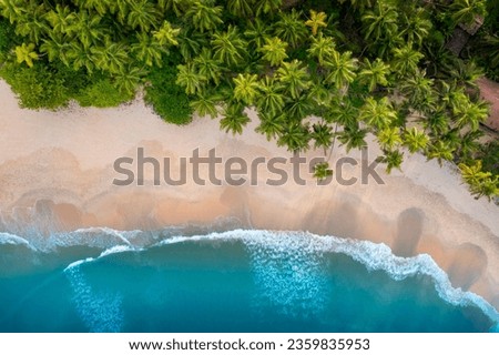 Drone shot of blue sea with sand and coconut trees, Kerala travel and tourism concept aerial photo, relaxing and peaceful beach scene, best beach scenery