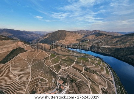 Drone shot of the Douro River bordered by terraced vineyards in Portugal, revealing intricate agricultural design and scenic countryside terrain.