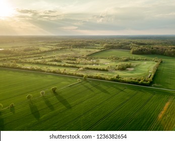 Drone Shot Of Green Fields In Germany.