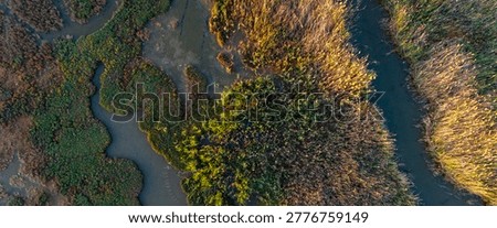 Drone shot looking directly down at a dynamic wetland scene where twisting murky channels intertwine gracefully with sharply defined brightly lit reed peninsulas.