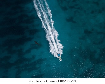 Drone Shot Of Motor Boat With Wake On The Sea Surface And Big Bird Flying Below