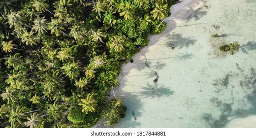 Drone shot from the nature of Mentawai islands, Sumatra, Indonesia. Beautiful combination of palm trees, ocean, sand and coral reef. - Shutterstock ID 1817844881