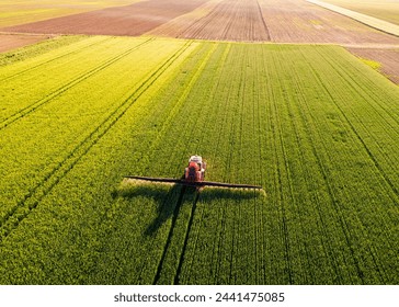 Drone shot of a red tractor fertilizing a lush green wheat field under the golden light of dusk - Powered by Shutterstock