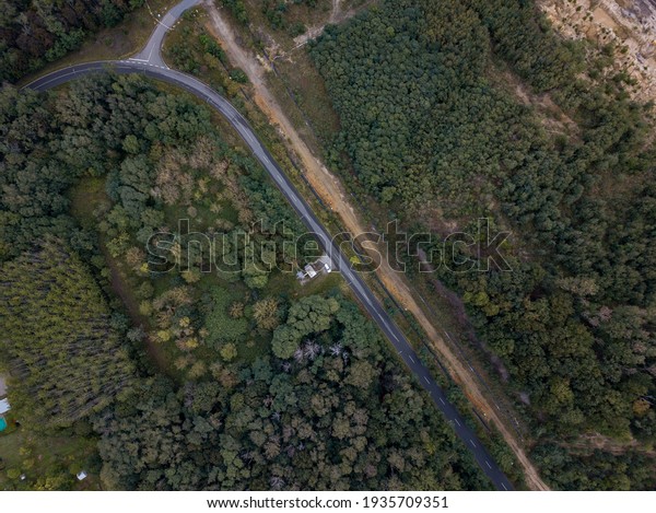 drone shot of a road in the\
forest