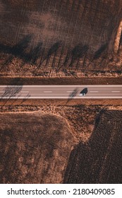 Drone Shot Of Single Gray Car Driving Through Countryside Landscape In Late Autumn, Aerial Shot Of Miniature Vehicle In Travel And Transport Concept, Directly Above